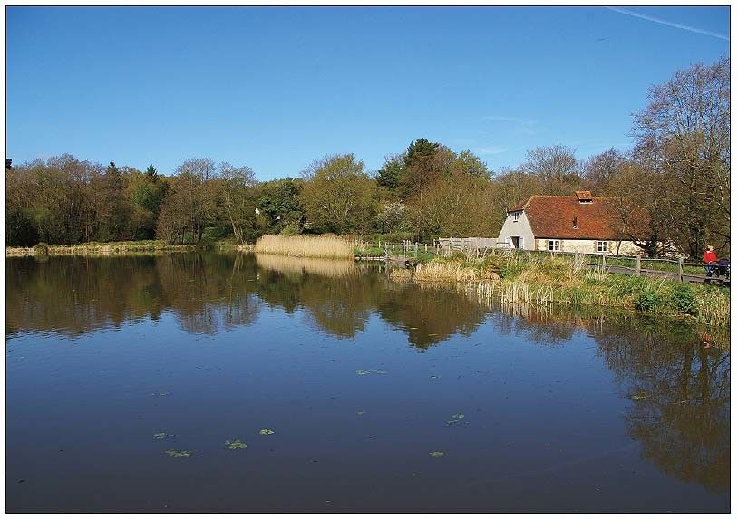 burton mill pond